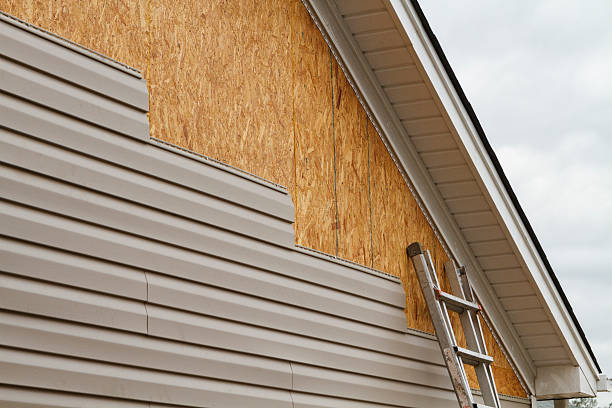 Professional Vinyl Siding technician working in Adrian, MN